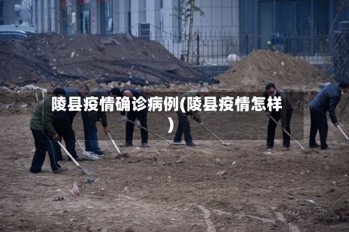 陵县疫情确诊病例(陵县疫情怎样)