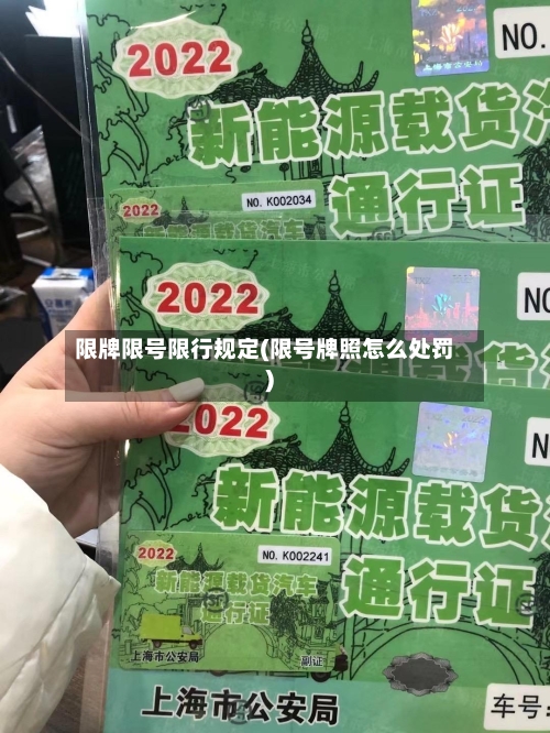 限牌限号限行规定(限号牌照怎么处罚)