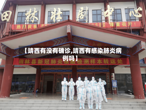 【靖西有没有确诊,靖西有感染肺炎病例吗】