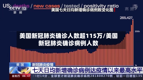 美国新冠肺炎确诊人数超115万/美国新冠肺炎确诊病例人数
