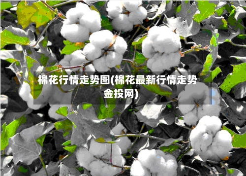 棉花行情走势图(棉花最新行情走势金投网)