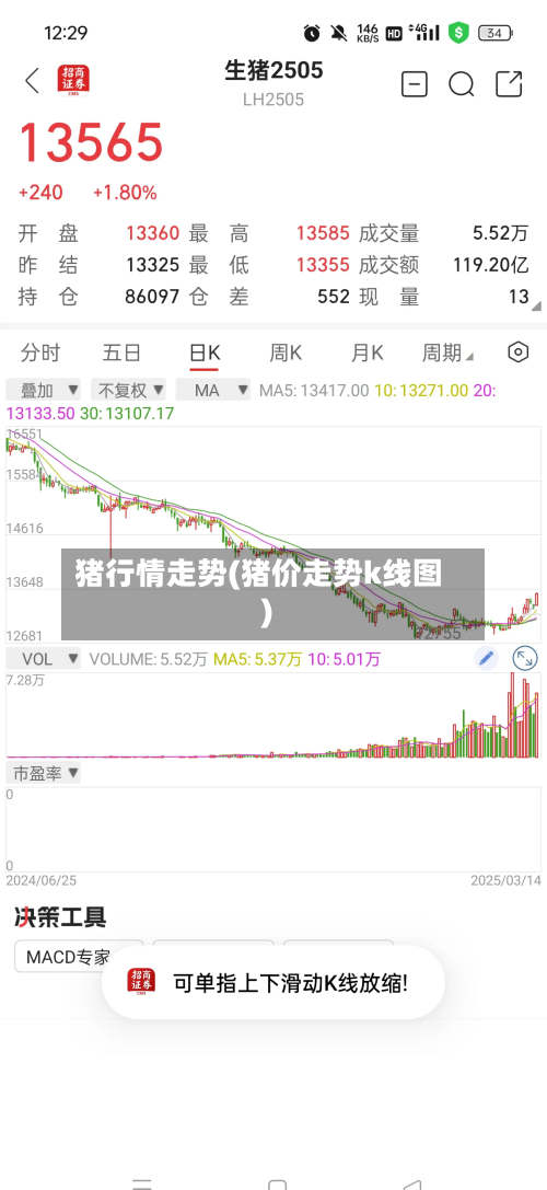 猪行情走势(猪价走势k线图)