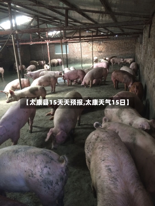 【太康县15天天预报,太康天气15日】