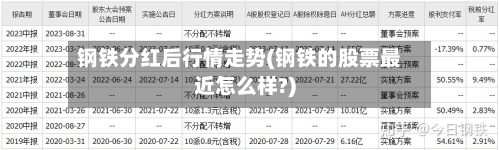 钢铁分红后行情走势(钢铁的股票最近怎么样?)