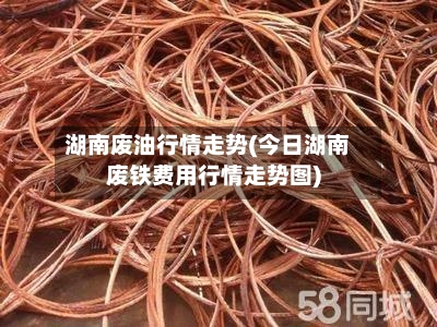 湖南废油行情走势(今日湖南废铁费用行情走势图)