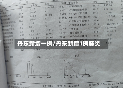 丹东新增一例/丹东新增1例肺炎