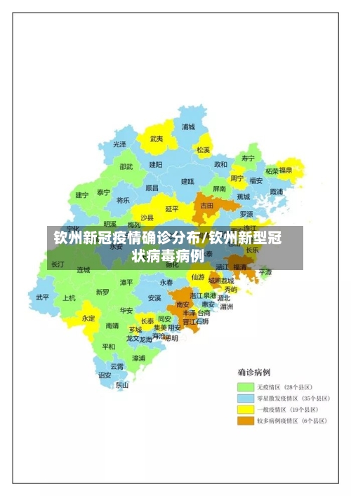 钦州新冠疫情确诊分布/钦州新型冠状病毒病例