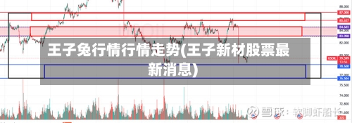 王子兔行情行情走势(王子新材股票最新消息)