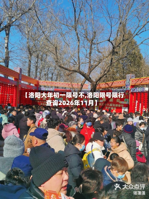 【洛阳大年初一限号不,洛阳限号限行查询2026年11月】