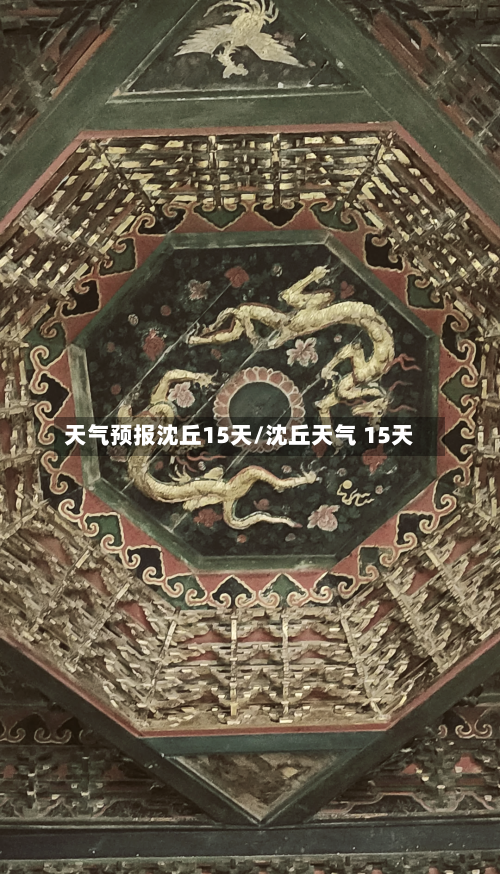 天气预报沈丘15天/沈丘天气 15天