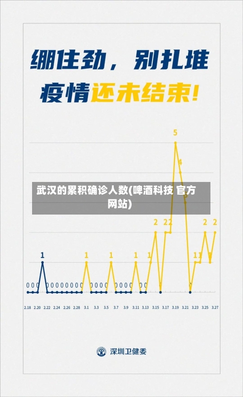 武汉的累积确诊人数(啤酒科技 官方网站)