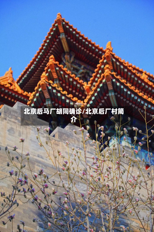 北京后马厂胡同确诊/北京后厂村简介