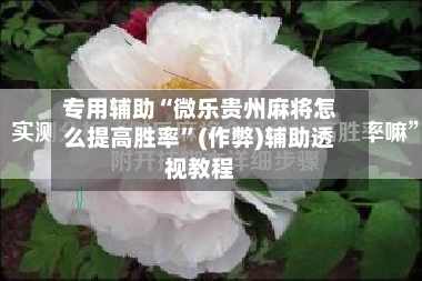 专用辅助“微乐贵州麻将怎么提高胜率”(作弊)辅助透视教程
