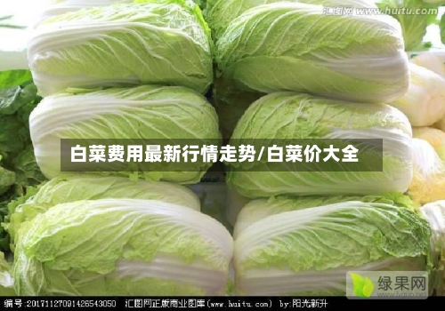 白菜费用最新行情走势/白菜价大全
