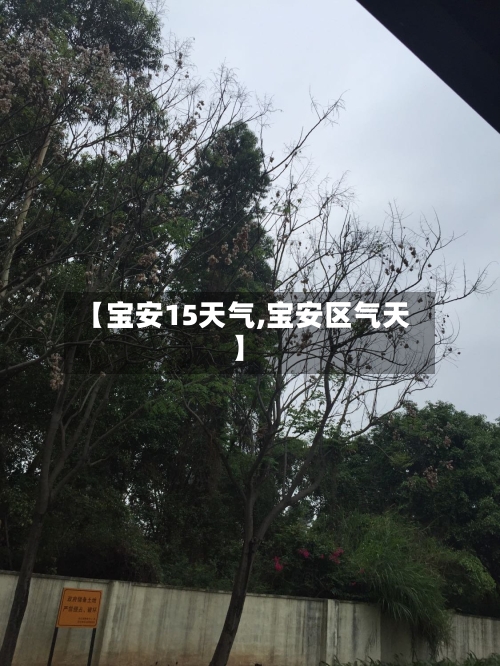 【宝安15天气,宝安区气天】
