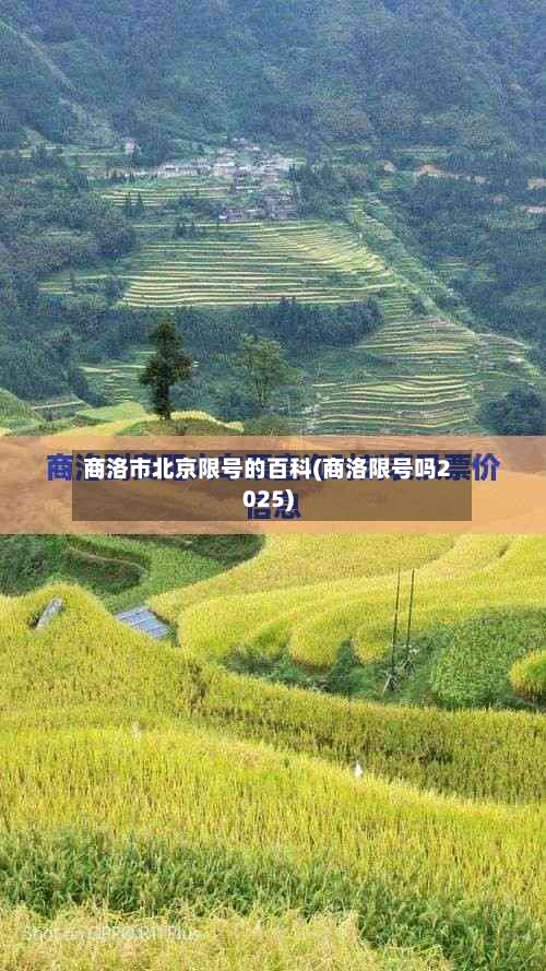 商洛市北京限号的百科(商洛限号吗2025)