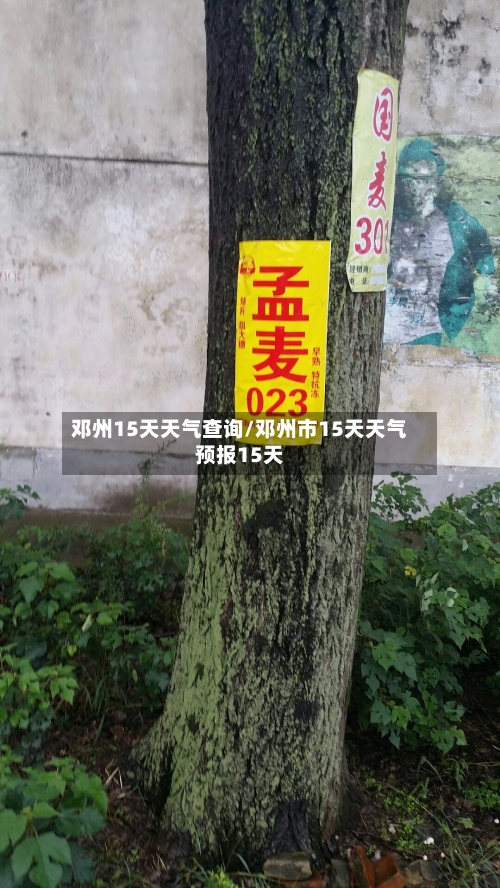 邓州15天天气查询/邓州市15天天气预报15天