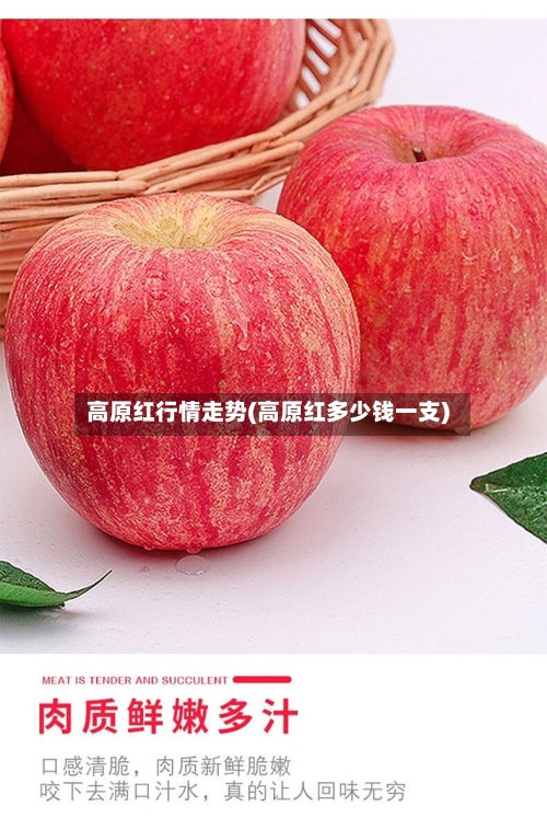 高原红行情走势(高原红多少钱一支)