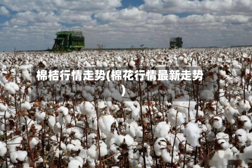 棉桔行情走势(棉花行情最新走势)