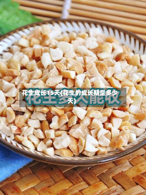 花生成长15天(花生的成长期是多少天)