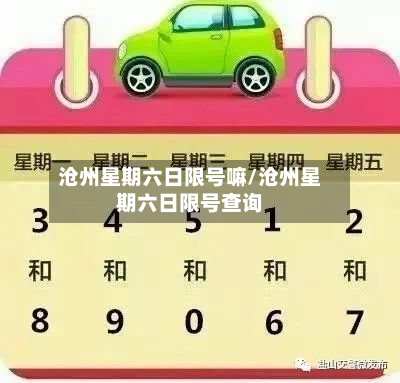 沧州星期六日限号嘛/沧州星期六日限号查询