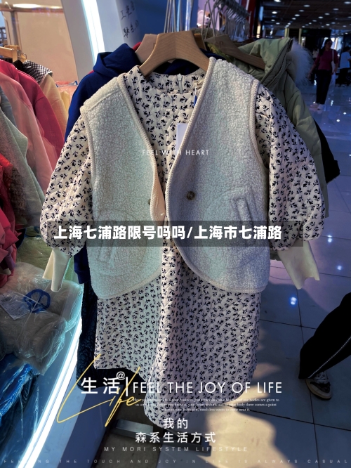 上海七浦路限号吗吗/上海市七浦路
