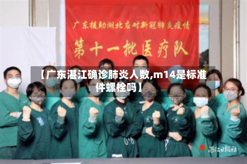 【广东湛江确诊肺炎人数,m14是标准件螺栓吗】