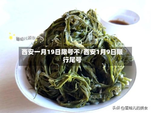 西安一月19日限号不/西安1月9日限行尾号