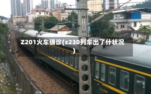 Z201火车确诊(z230列车出了什状况)