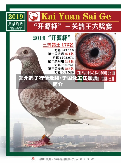 郑州鸽子行情走势/于国泳主任医师简介