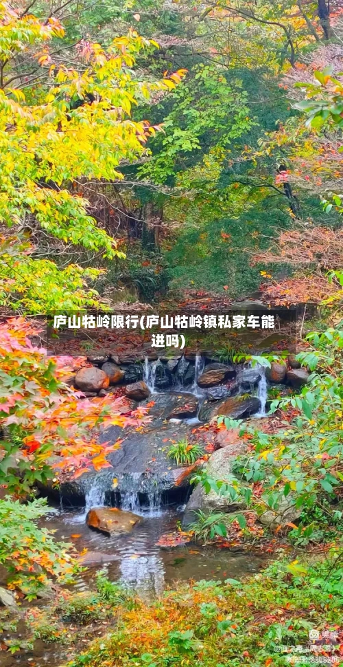 庐山牯岭限行(庐山牯岭镇私家车能进吗)