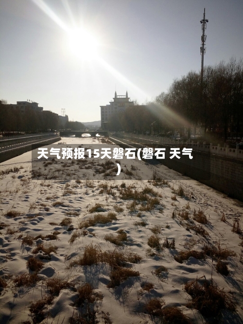 天气预报15天磐石(磐石 天气)