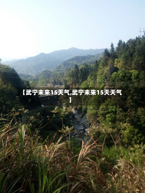 【武宁未来15天气,武宁未来15天天气】