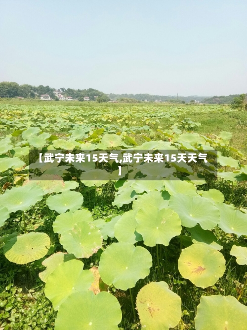 【武宁未来15天气,武宁未来15天天气】