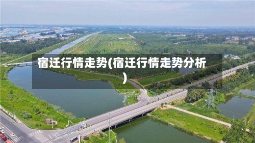 宿迁行情走势(宿迁行情走势分析)