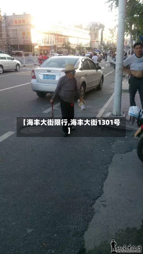 【海丰大街限行,海丰大街1301号】