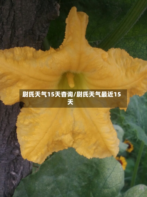 尉氏天气15天杳询/尉氏天气最近15天