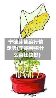 宁德芽苗菜行情走势(宁德种植什么菜比较好)
