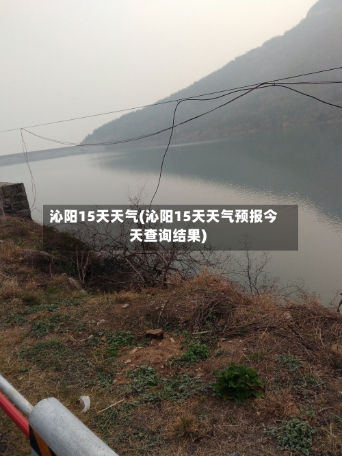 沁阳15天天气(沁阳15天天气预报今天查询结果)