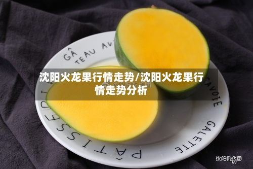 沈阳火龙果行情走势/沈阳火龙果行情走势分析