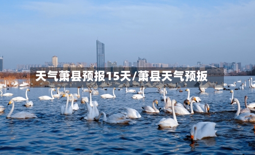 天气萧县预报15天/萧县天气预扳