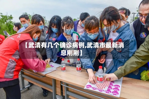 【武清有几个确诊病例,武清市最新消息刚刚】