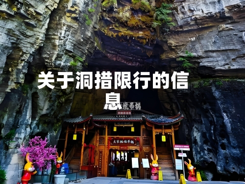 关于洞措限行的信息