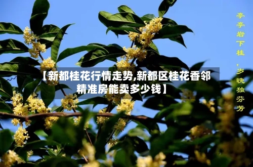 【新都桂花行情走势,新都区桂花香邻精准房能卖多少钱】