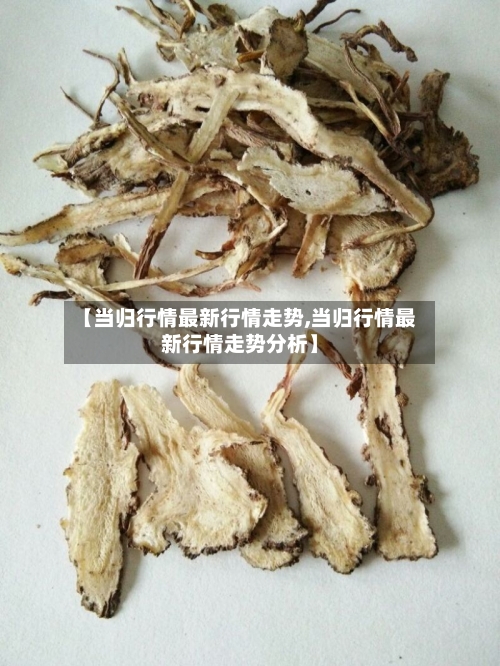 【当归行情最新行情走势,当归行情最新行情走势分析】