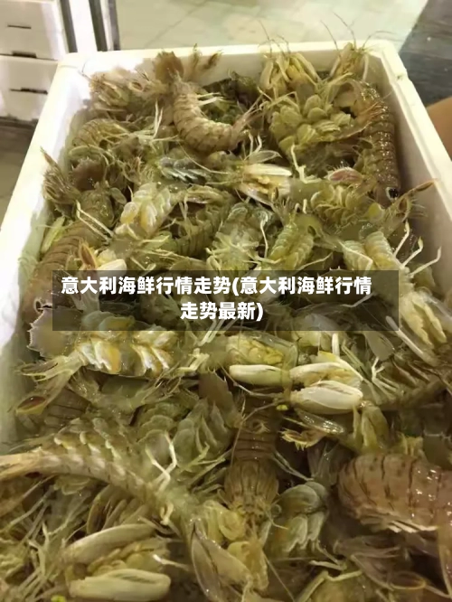 意大利海鲜行情走势(意大利海鲜行情走势最新)