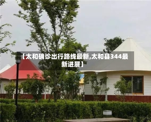 【太和确诊出行路线最新,太和县344最新进展】