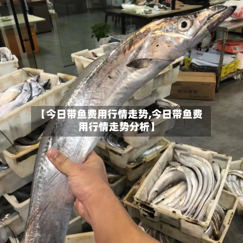 【今日带鱼费用行情走势,今日带鱼费用行情走势分析】