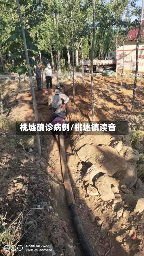 桃墟确诊病例/桃墟镇读音