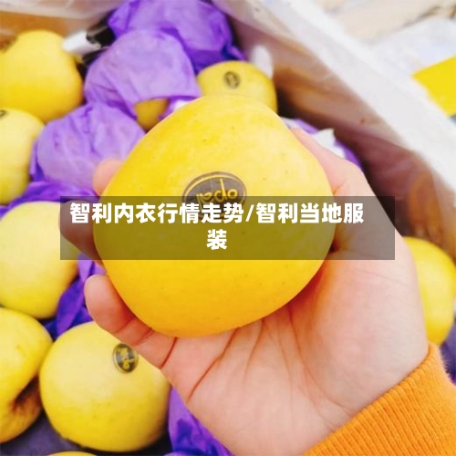 智利内衣行情走势/智利当地服装